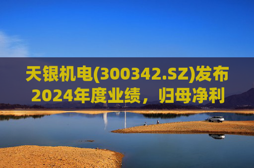 天银机电(300342.SZ)发布2024年度业绩，归母净利润9040.74万元，同比增长175.80%