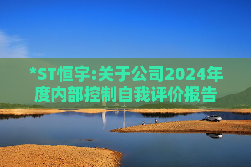 *ST恒宇:关于公司2024年度内部控制自我评价报告