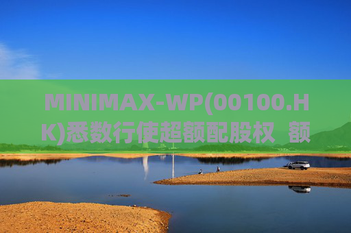 MINIMAX-WP(00100.HK)悉数行使超额配股权  额外筹资6.97亿港元