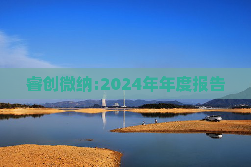 睿创微纳:2024年年度报告