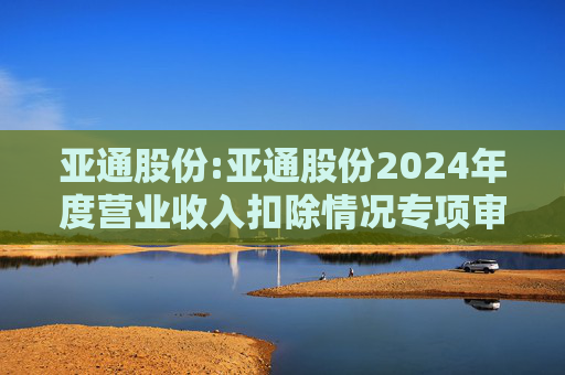 亚通股份:亚通股份2024年度营业收入扣除情况专项审核意见