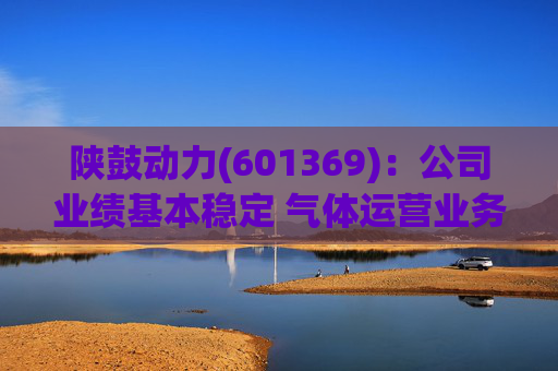 陕鼓动力(601369)：公司业绩基本稳定 气体运营业务贡献新增长引擎