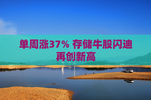 单周涨37% 存储牛股闪迪再创新高  第1张