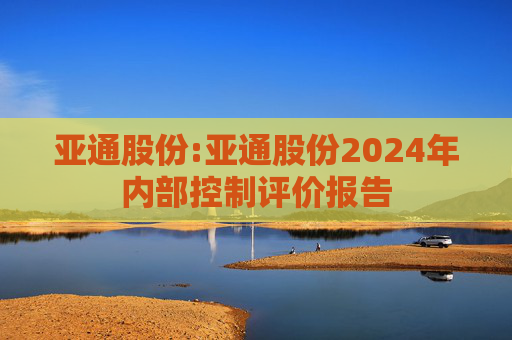 亚通股份:亚通股份2024年内部控制评价报告  第1张