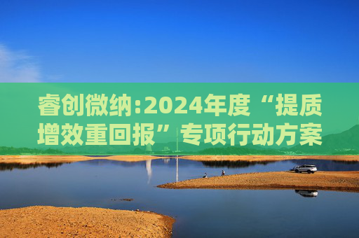 睿创微纳:2024年度“提质增效重回报”专项行动方案的评估报告暨2025年度“提质增效重回报”专项行动方案