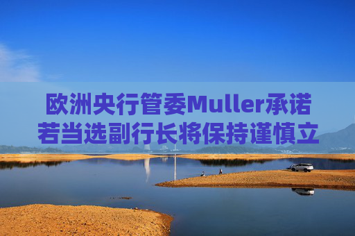 欧洲央行管委Muller承诺若当选副行长将保持谨慎立场