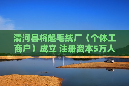 清河县将起毛绒厂（个体工商户）成立 注册资本5万人民币  第1张