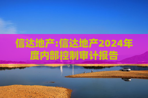 信达地产:信达地产2024年度内部控制审计报告  第1张