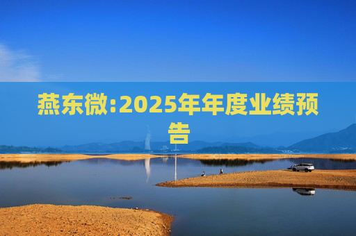 燕东微:2025年年度业绩预告