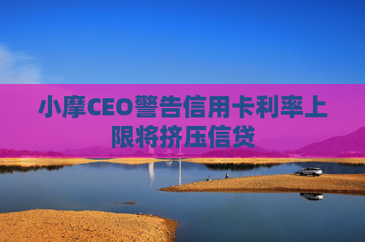 小摩CEO警告信用卡利率上限将挤压信贷