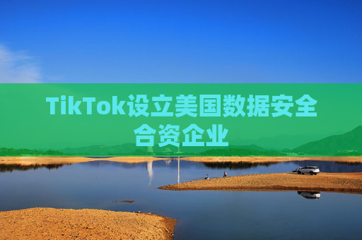 TikTok设立美国数据安全合资企业