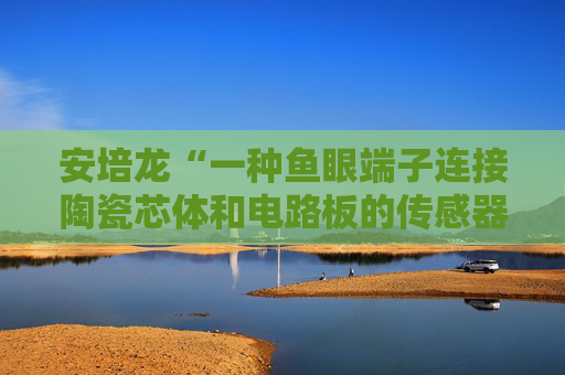 安培龙“一种鱼眼端子连接陶瓷芯体和电路板的传感器及组装方法”专利获授权