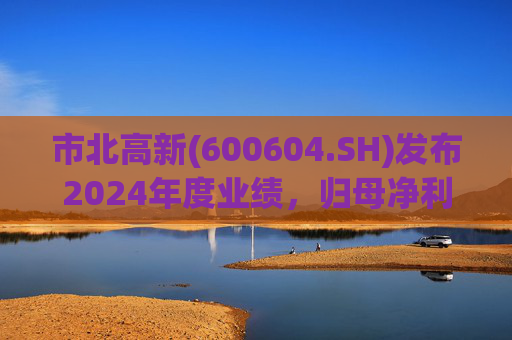 市北高新(600604.SH)发布2024年度业绩，归母净利润3053万元，同比扭亏为盈  第1张