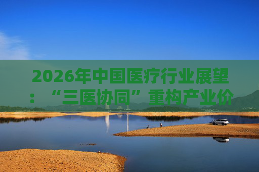 2026年中国医疗行业展望：“三医协同”重构产业价值链