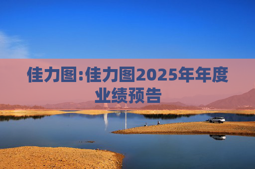 佳力图:佳力图2025年年度业绩预告