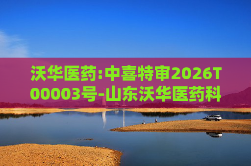 沃华医药:中喜特审2026T00003号-山东沃华医药科技股份有限公司-关联资金占用报告