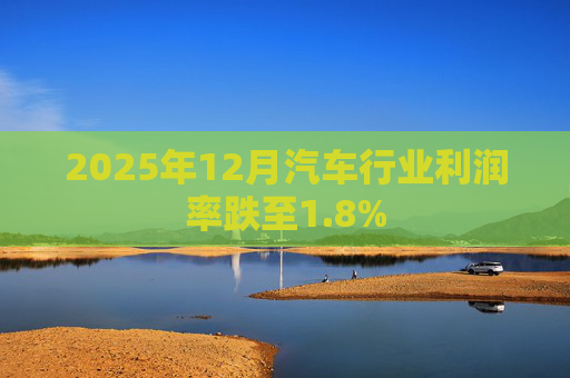 2025年12月汽车行业利润率跌至1.8%