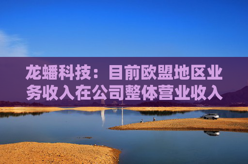 龙蟠科技：目前欧盟地区业务收入在公司整体营业收入中的占比较小