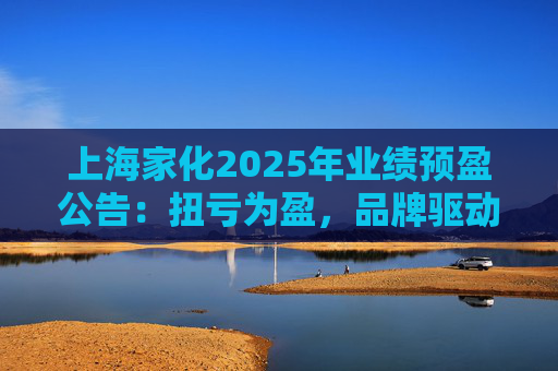 上海家化2025年业绩预盈公告：扭亏为盈，品牌驱动重回增长轨道