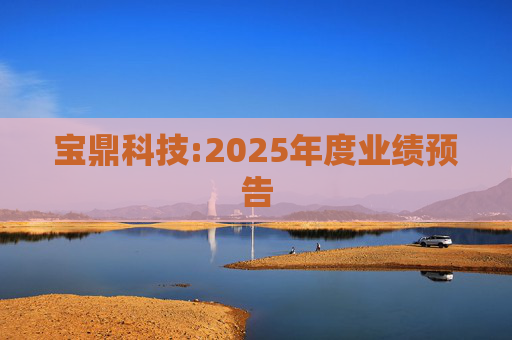 宝鼎科技:2025年度业绩预告