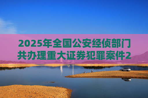 2025年全国公安经侦部门共办理重大证券犯罪案件200余起