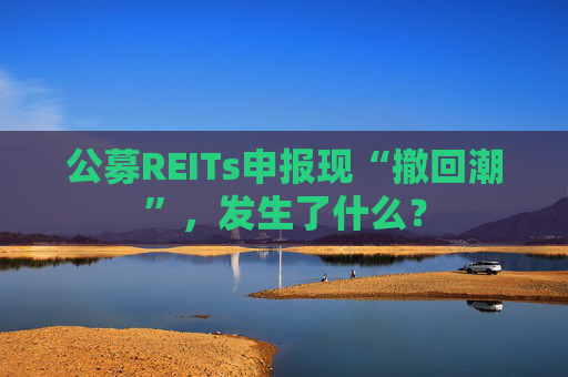 公募REITs申报现“撤回潮”，发生了什么？
