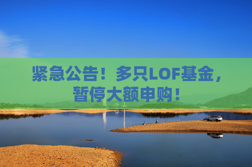 紧急公告！多只LOF基金，暂停大额申购！