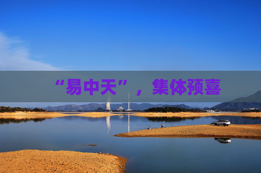 “易中天”，集体预喜