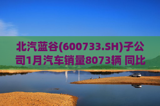 北汽蓝谷(600733.SH)子公司1月汽车销量8073辆 同比增长11.83%