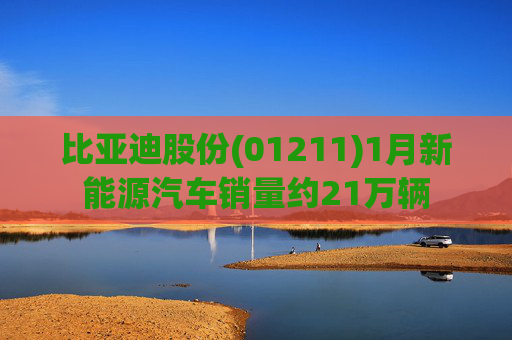 比亚迪股份(01211)1月新能源汽车销量约21万辆