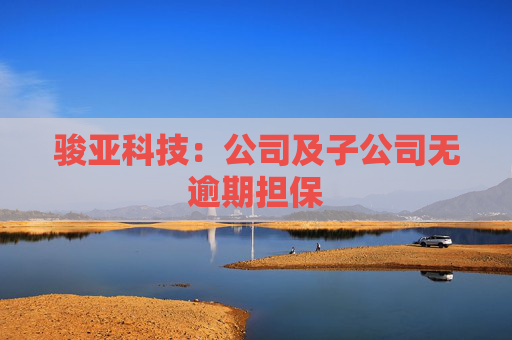 骏亚科技：公司及子公司无逾期担保