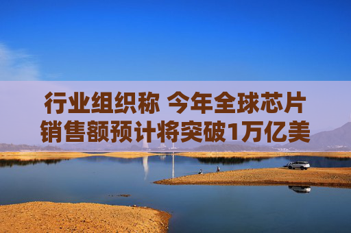 行业组织称 今年全球芯片销售额预计将突破1万亿美元