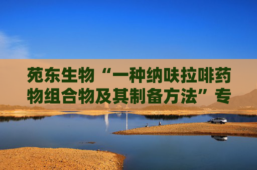 苑东生物“一种纳呋拉啡药物组合物及其制备方法”专利获授权