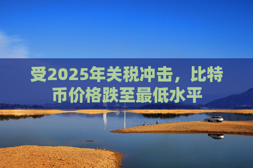 受2025年关税冲击，比特币价格跌至最低水平