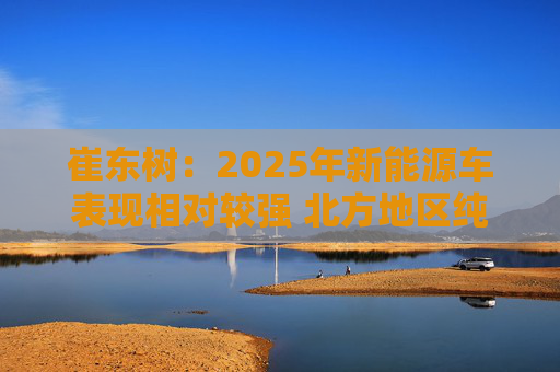 崔东树：2025年新能源车表现相对较强 北方地区纯电动占比提升明显