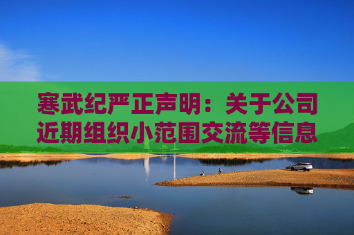 寒武纪严正声明：关于公司近期组织小范围交流等信息为不实信息