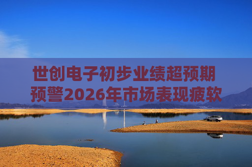 世创电子初步业绩超预期 预警2026年市场表现疲软