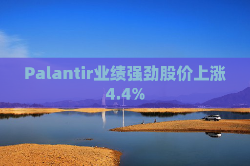 Palantir业绩强劲股价上涨4.4%