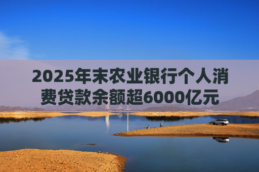 2025年末农业银行个人消费贷款余额超6000亿元