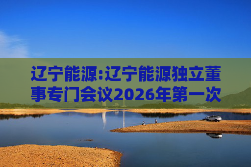 辽宁能源:辽宁能源独立董事专门会议2026年第一次会议决议
