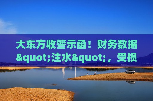 大东方收警示函！财务数据"注水"，受损股民可索赔维权