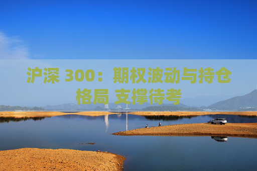 沪深 300：期权波动与持仓格局 支撑待考