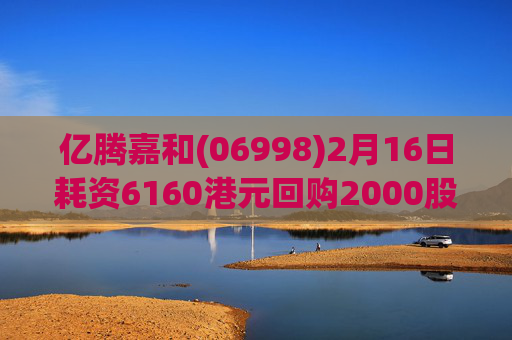 亿腾嘉和(06998)2月16日耗资6160港元回购2000股