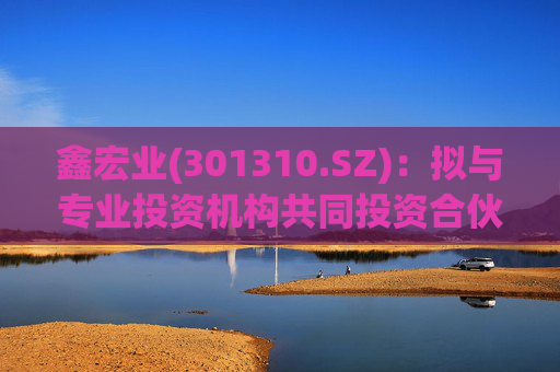 鑫宏业(301310.SZ)：拟与专业投资机构共同投资合伙企业