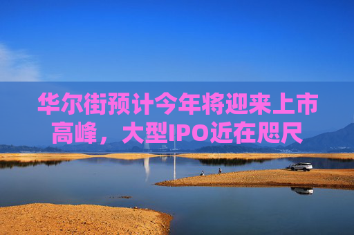 华尔街预计今年将迎来上市高峰，大型IPO近在咫尺