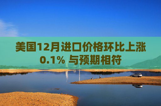 美国12月进口价格环比上涨0.1% 与预期相符