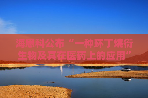 海思科公布“一种环丁烷衍生物及其在医药上的应用”专利