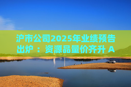 沪市公司2025年业绩预告出炉 ：资源品量价齐升 AI链景气延续