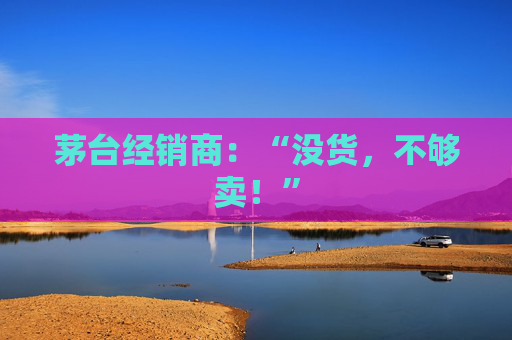 茅台经销商：“没货，不够卖！”