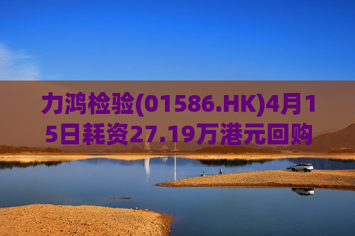 力鸿检验(01586.HK)4月15日耗资27.19万港元回购11.6万股  第1张